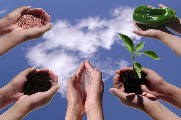 Agricultura ecologică din Moldova, tot mai practicată. Subvenţiile sunt însă limitate