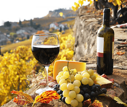 Moldova își va promova vinurile în Ungaria