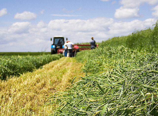 AIPA завершило прием заявок на субсидирование в 2015 году