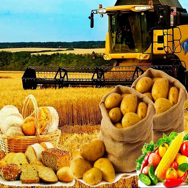 Объем сельхозпроизводства в Молдове