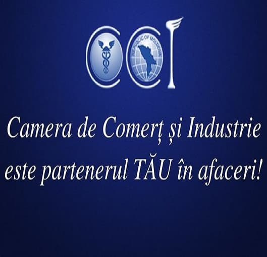 client.chamber.md: expertiză și evaluare online