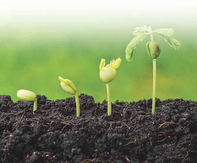 Изменения к Коллективному соглашению в сельском хозяйстве