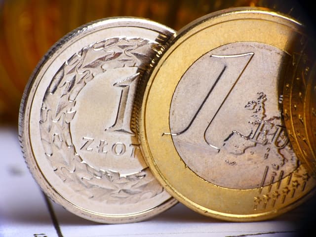 Dacă ar fi să intre în zona euro, Polonia ar vrea să o facă după propriile reguli
