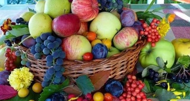 Calamităţile naturale din 2017 nu au afectat volumul producerii agricole