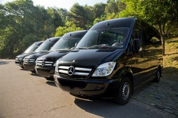 IFS pe mun. Chișinău pune accentul pe combaterea transportului ilicit de călători și comercializarea ilicită a citricelor