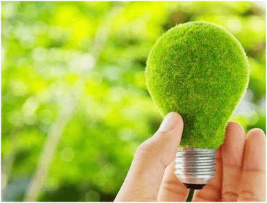 Peste 30% din energia Germaniei este regenerabilă