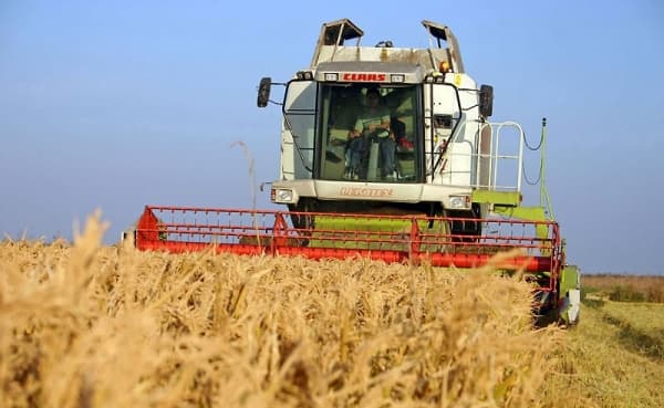 România: Agricultura şi construcţiile au frânat creşterea economică, susţinută de industrie şi impozite nete