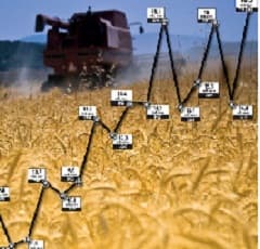 Volumul producției agricole în Moldova a crescut în 2016 cu 18,6%