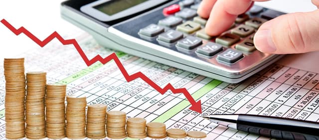 Contabilitatea unor costuri de materiale directe în fitotehnie