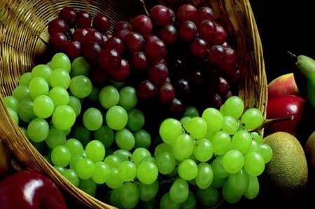 Молдове увеличат квоты на поставки в ЕС слив и винограда