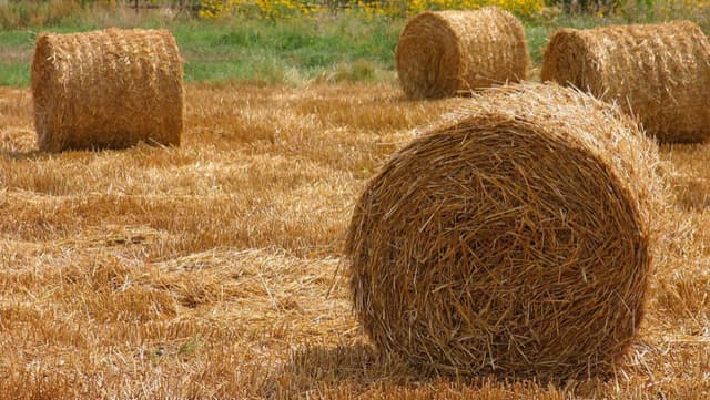 În cadrul proiectului Energie şi Biomasă 2 au fost selectate primele comunităţi beneficiare