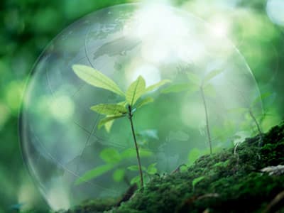 ​Словакия поможет Молдове в улучшении окружаюшей среды