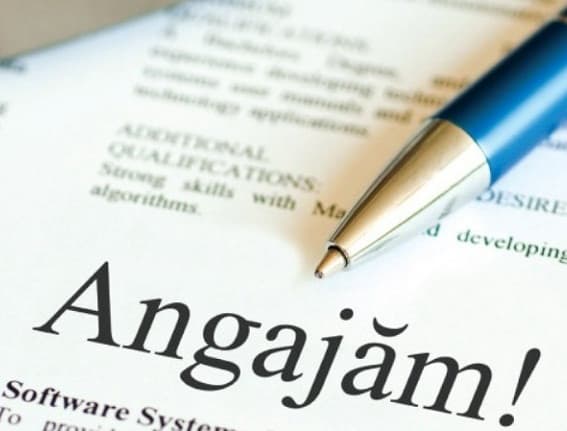 Programatorul, cel mai bine plătit