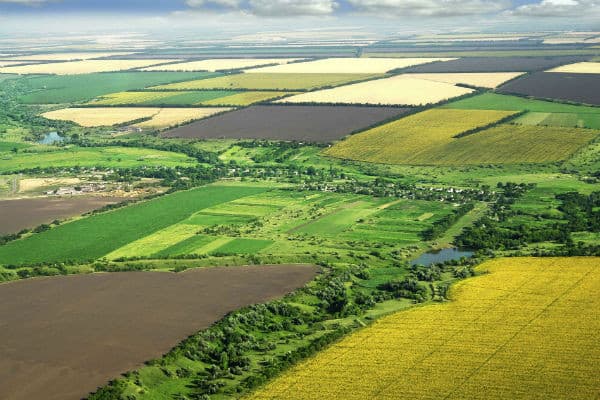 Площадь земель сельхозназначения РМ превышает 2,2 млн га