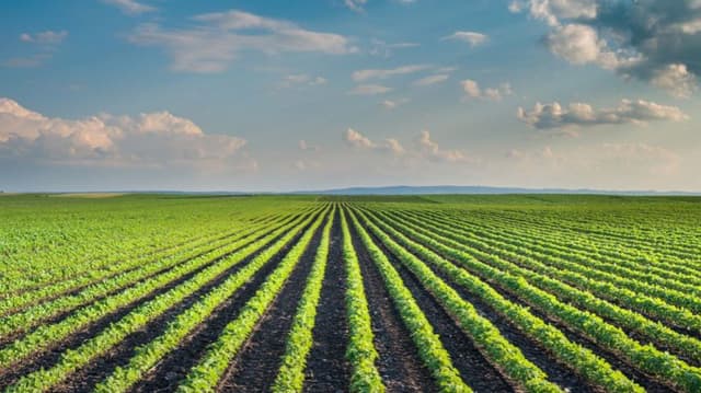 Порядок ведения Реестра почв Молдовы