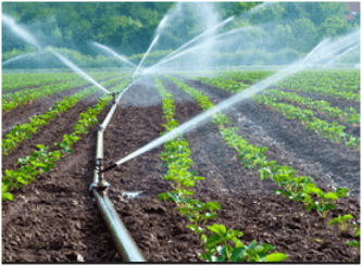 Власти Приднестровья намерены поддержать аграриев путем снижения цен на воду  для орошения