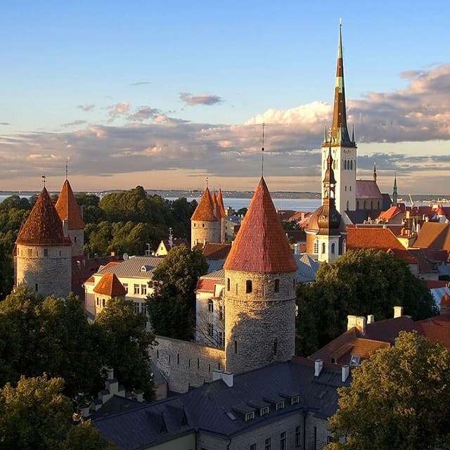 Alocaţie pentru capacitate de muncă în loc de pensie pentru incapacitate de muncă