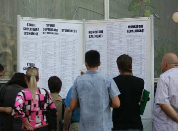 Date oficiale: Șomajul descrește