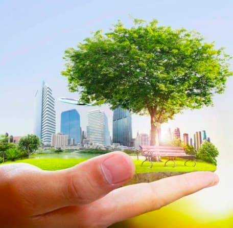 Cererile pentru subvențiile în avans din FNDAMR sunt acceptate până la 27 ianuarie