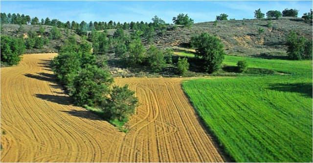 Costul Strategiei E-Agricultura pentru 2015-2020 se estimează la circa $6 mln