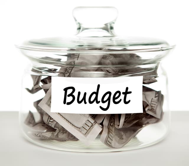 Politica bugetar-fiscală-vamală a fost votată