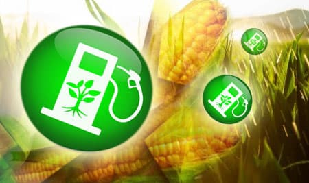 Производители биотоплива учатся производить качественную биомассу