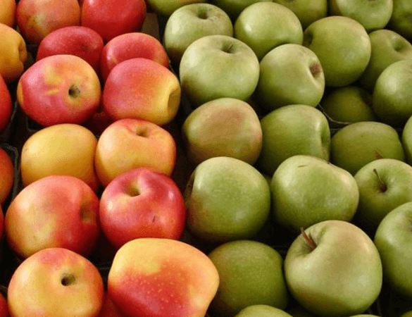 Более 6000 фермеров обратились за компенсациями