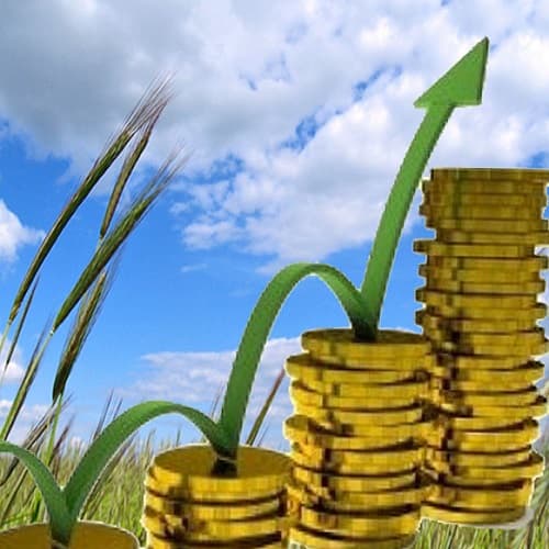 Prețurile producătorului la produsele agricole, în creștere