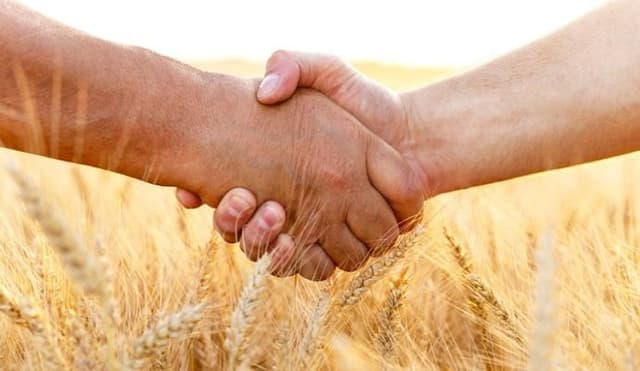 Asigurarea în agricultură: nu doar cantitatea, dar și calitatea