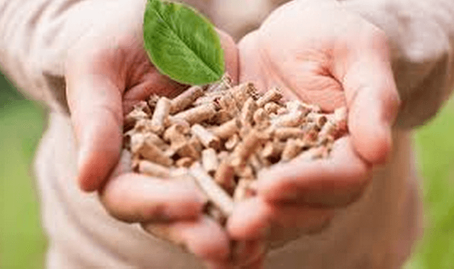 Молдавский проект "Энергия и биомасса" признан образцовым