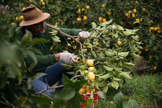 Voucher pentru zilieri