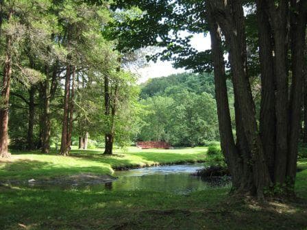 Datorii de peste 12 mln de lei din arenda pădurilor