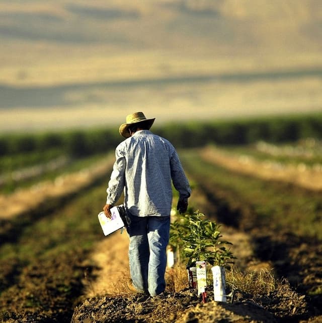Susţinerea continua a producătorilor agricoli din zona de securitate