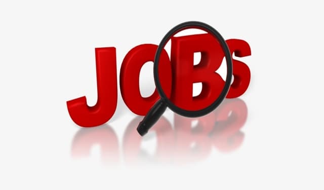 Piața muncii solicită persoane cu nivel de instruire secundar și muncitori necalificați