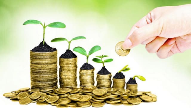 Hotărîrea cu privire la subvenționarea producătorilor agricoli intră în vigoare