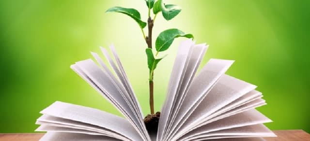 Ultimul sunet şi pentru educaţia fiscală