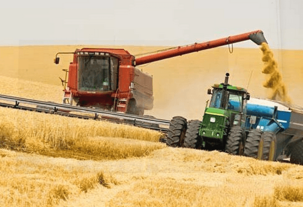 Франция поможет Молдове модернизировать аграрный сектор и банковскую систему