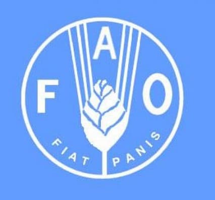FAO продолжит реализацию проектов в Молдове