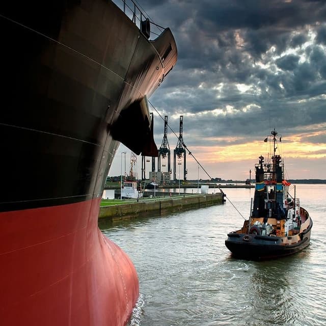 Înregistrarea electronică a navelor maritime comerciale