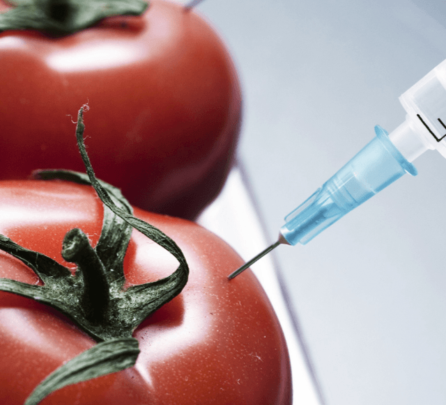 Чистота пищевых продуктов будет проверяться в современной лаборатории по выявлению ГМО