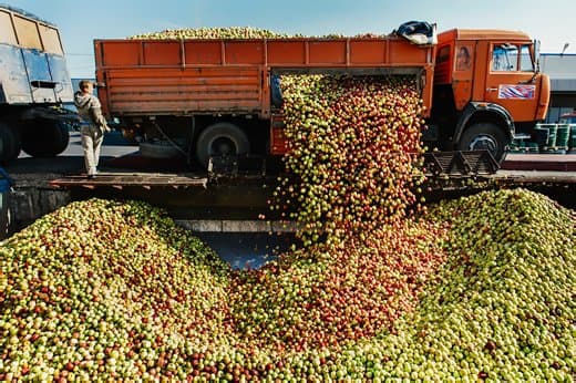 Industria de conserve și procesare din Republica Moldova se sufocă din cauza insuficienței de materie primă