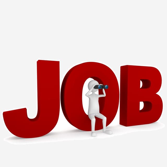 Piața muncii în luna octombrie