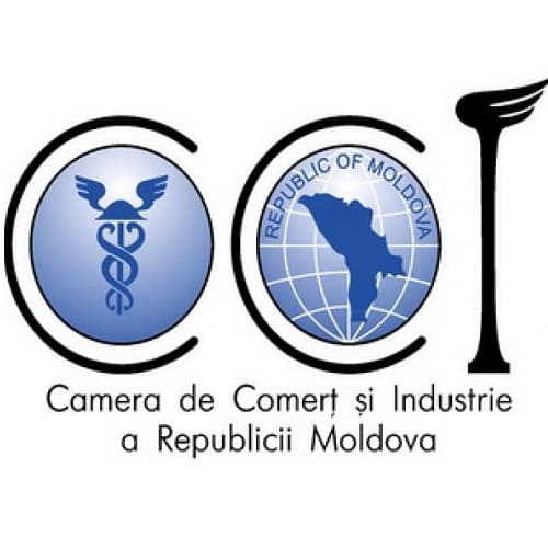 CCI: diminuarea riscurilor de corupție în procesul controlului de stat