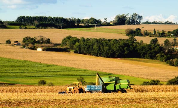 Schimb de bune practici între ţările membre ale OCEMN în domeniul business-ului agricol