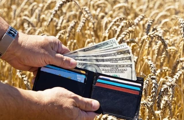 Creditul polonez, tot mai popular printre producătorii agricoli