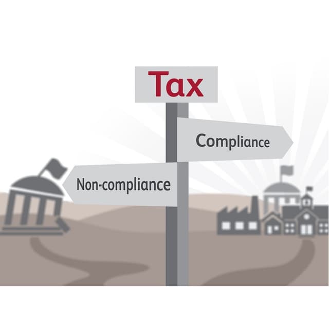 Controalele planificate de SFS pentru anul 2018