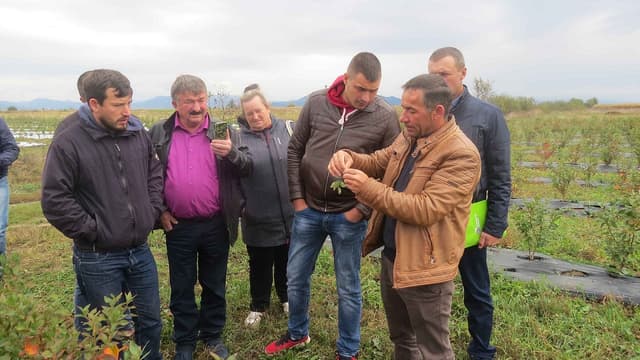 Grupurile de producători vor fi recunoscute conform unui Regulament