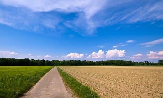 Примэрия Чадыр-Лунги приняла решение сдавать в аренду необработанные земельные участки