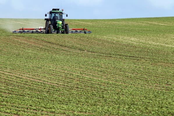 România: Statul elimină restricţiile pentru achiziţia de terenuri agricole de către străini după 1 ianuarie