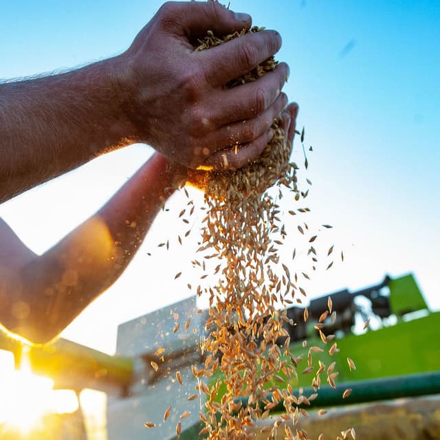 Aspirațiile producătorilor agricoli